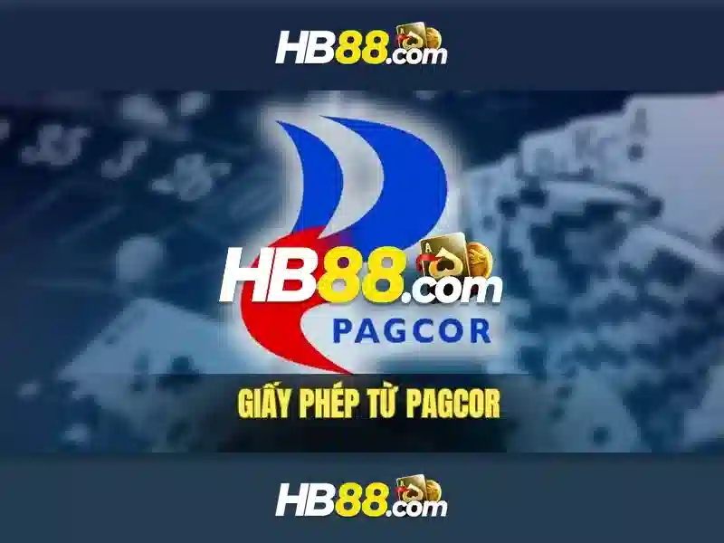 Hỗ trợ khách hàng và khuyến mãi