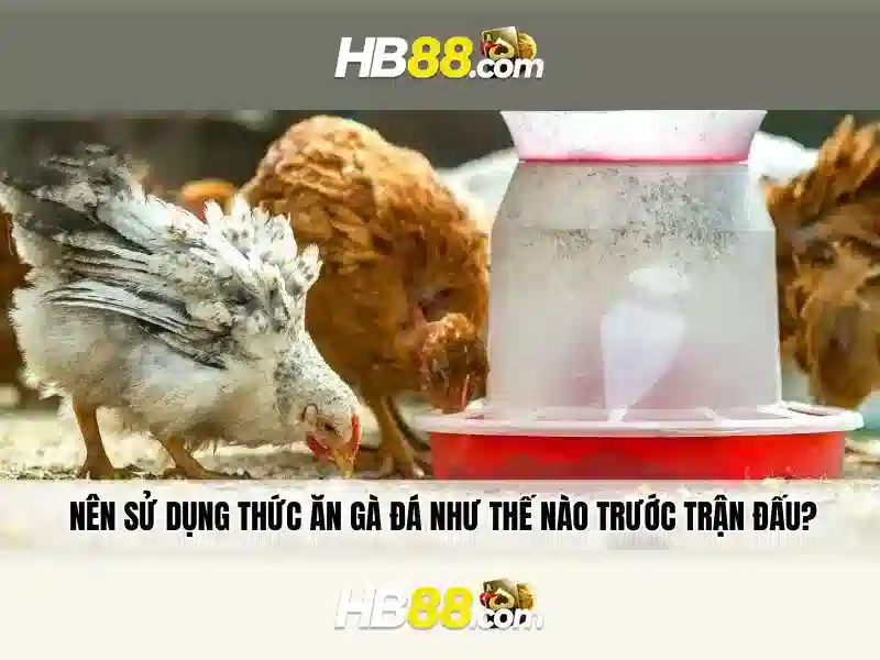 Trải nghiệm người dùng và các trò chơi có sẵn trên HB88