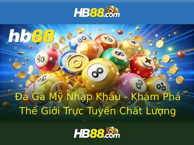 HB88 là gì và tại sao được yêu thích