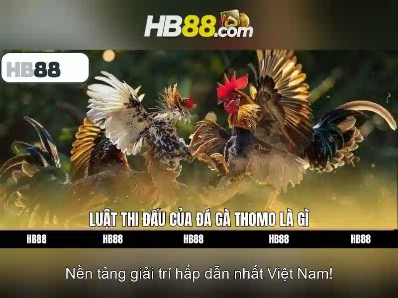 Trò chơi và thể loại trên HB88