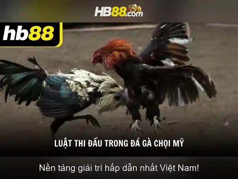 Giao diện nhà cái hoàn hảo