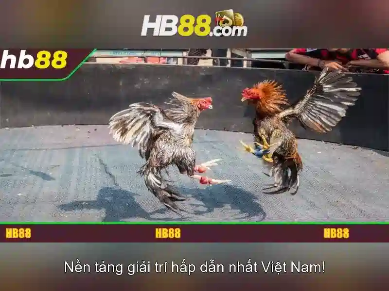 Giao diện người dùng và chức năng