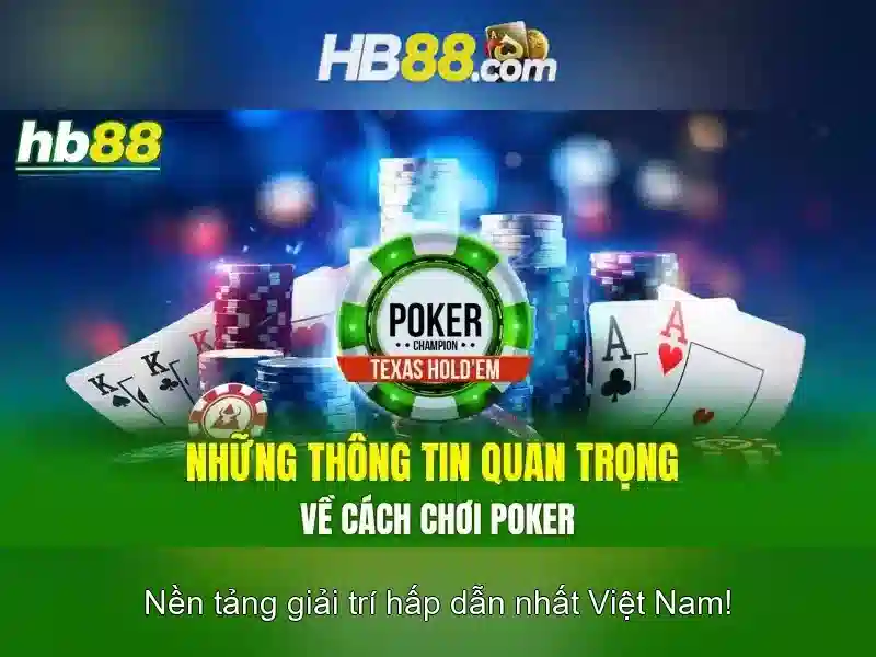Dịch vụ tại HB88