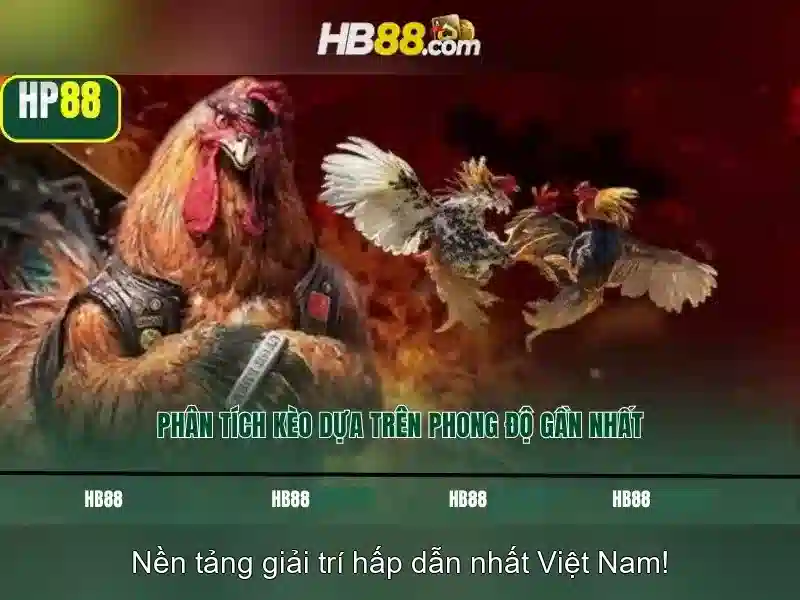 Giao diện nhà cái hoàn hảo