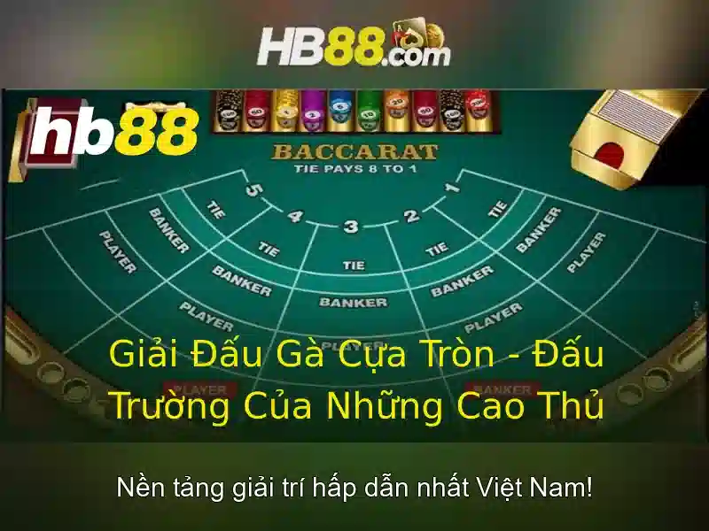 Trải nghiệm người dùng
