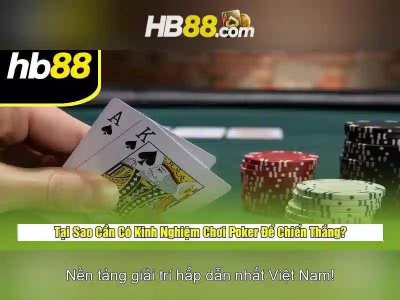Đối tác và giấy phép