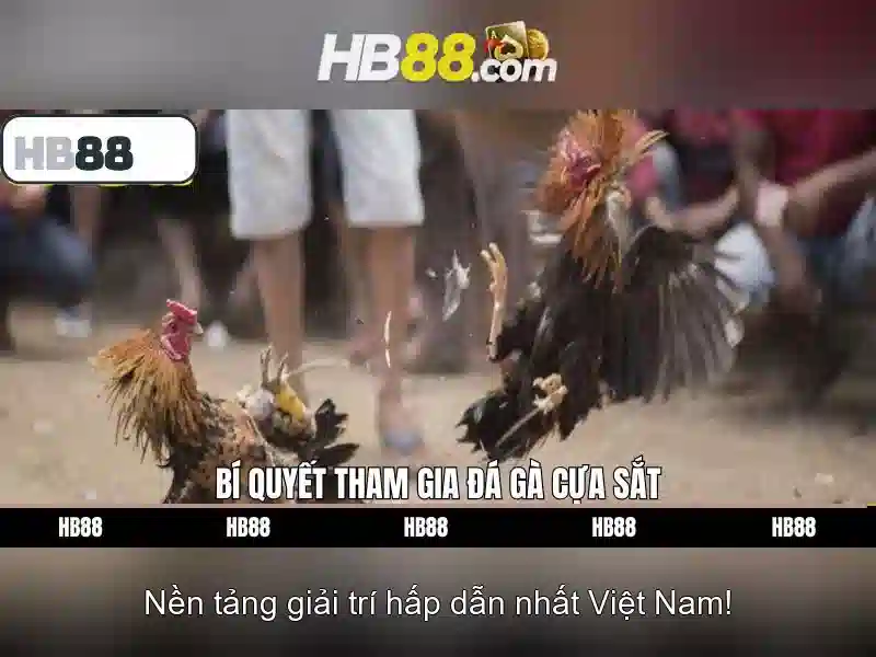 Lịch sử và nền tảng