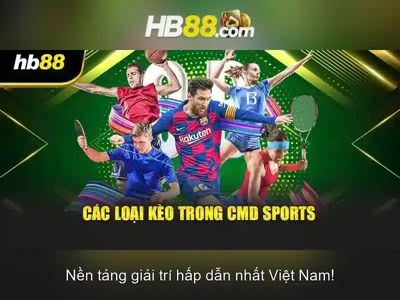 Khả năng thanh toán và trình duyệt