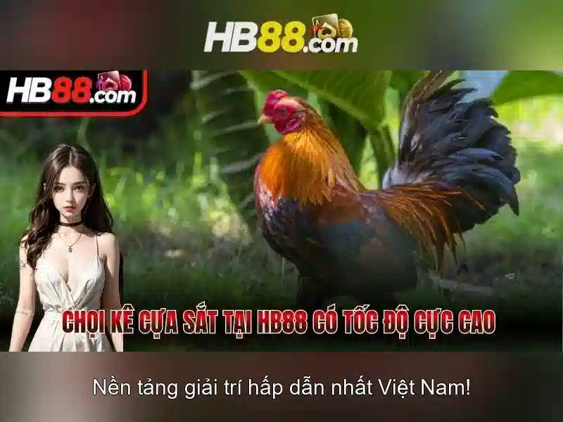 HB88: Nền tảng cá cược trực tuyến phổ biến