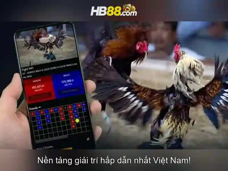 Hb88 - Tổng quan về nền tảng cược trực tuyến Giao diện nhà cái hoàn hảo