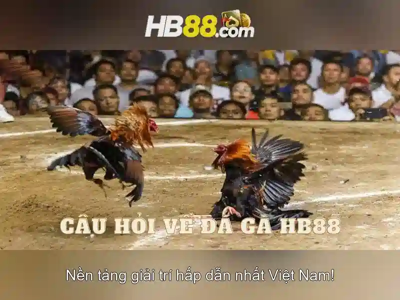 hb88 la gi va cac khia canh co ban